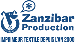 ecole de surf anglet logo zanzibar